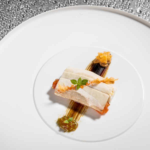 Fischfilet auf weißem Teller mit feiner Garnitur und Soßenstreifen. Fürstenberg Porzellan.