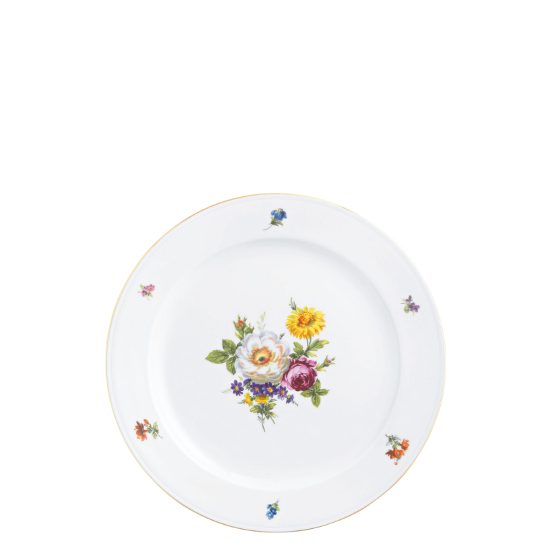 Dinner plate