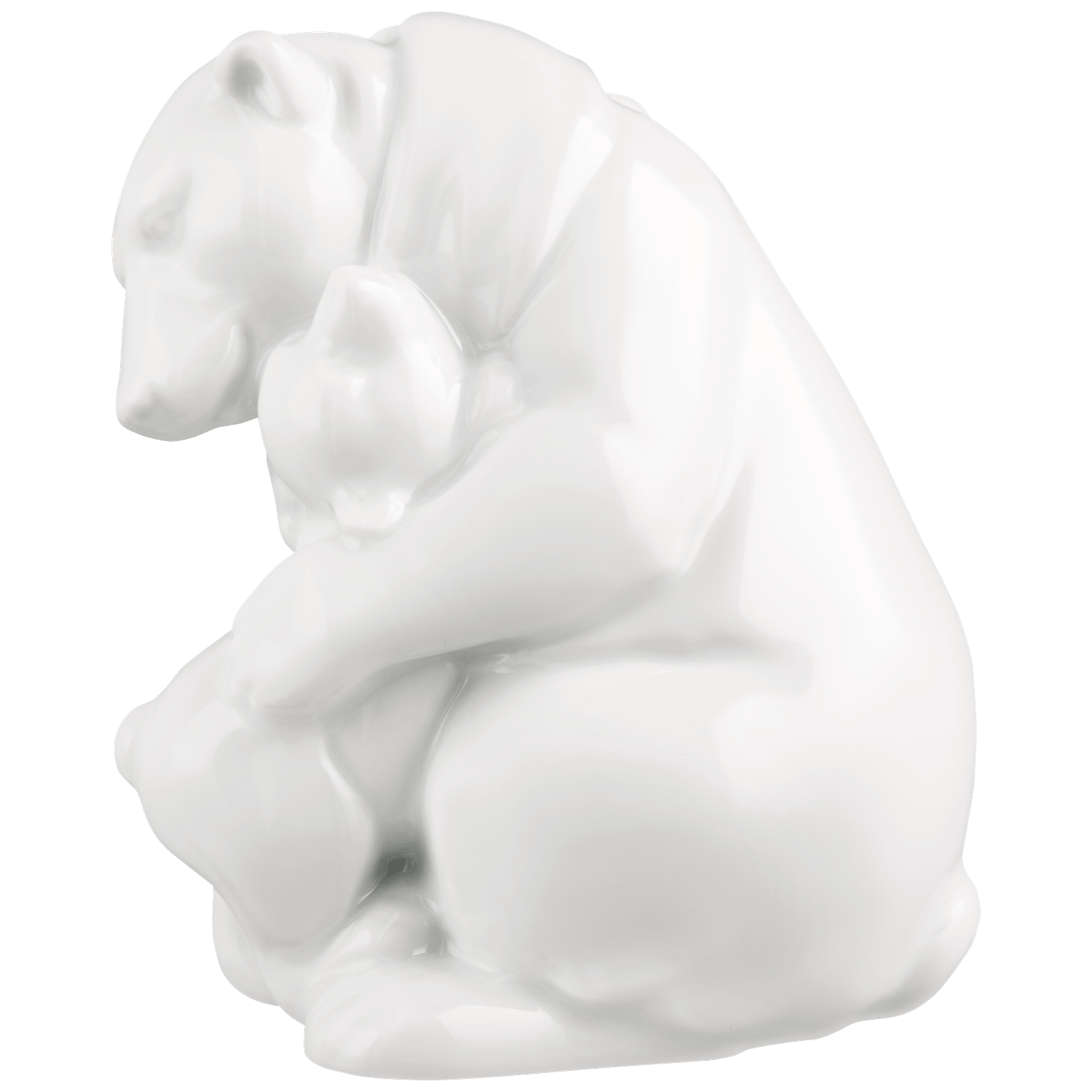 Polar bear with child 2026