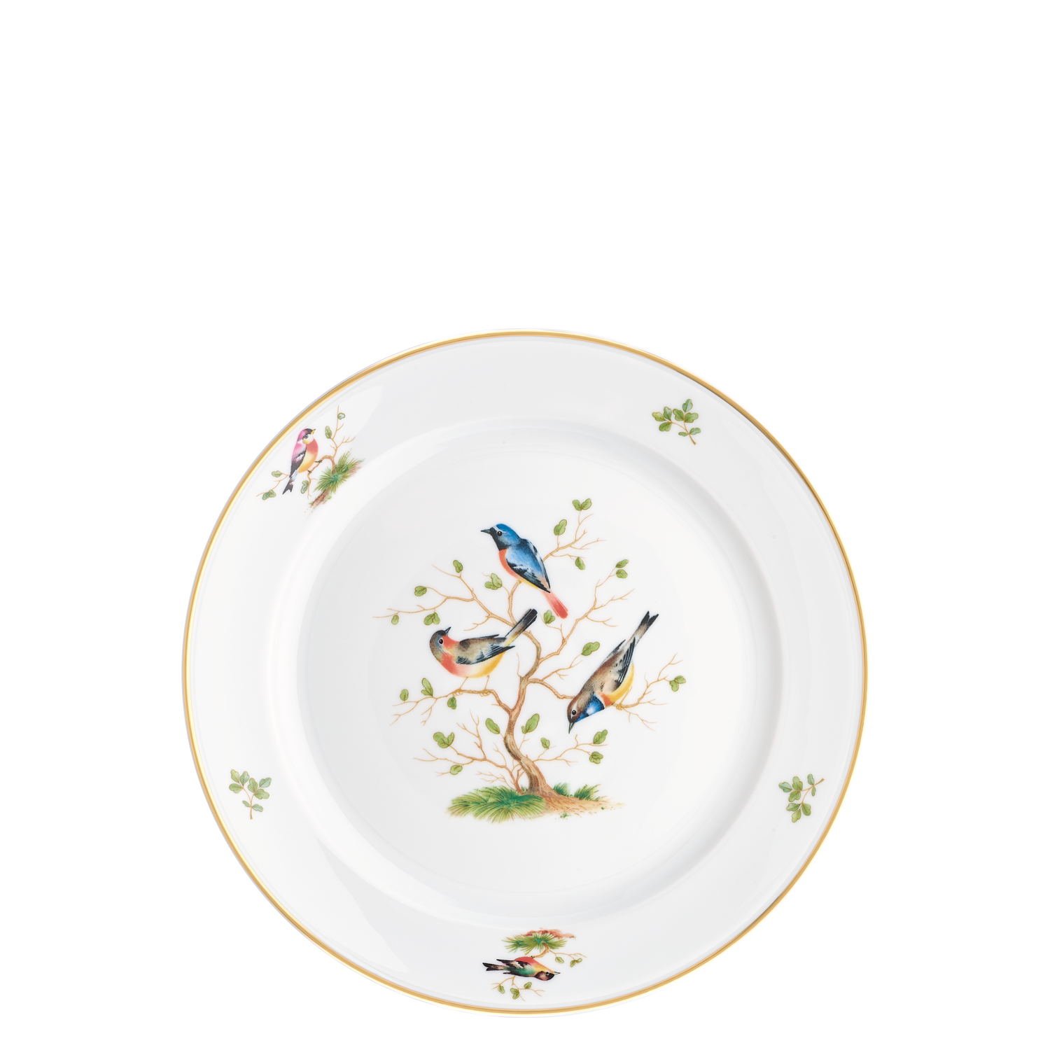 Dinner plate  Dinner plate