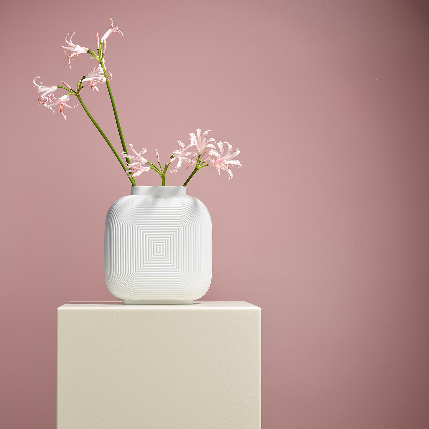 Weiße Vase mit Reliefmustern hält rosa Blüten, steht auf cremefarbenem Podest. Fürstenberg Porzellan.