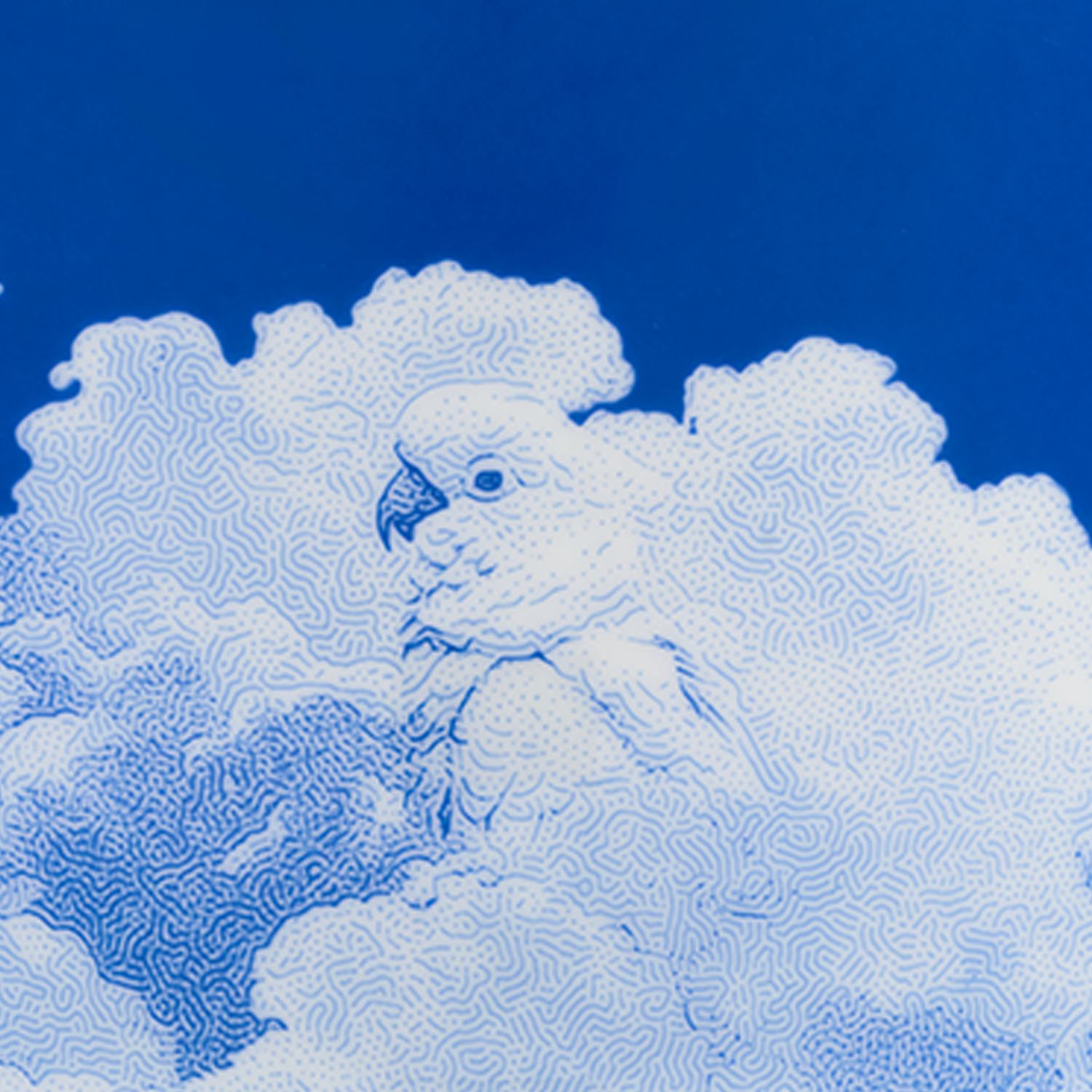 Ein blauer Papagei erscheint in weißen, wolkenartigen Mustern auf blauem Hintergrund. Fürstenberg Porzellan.