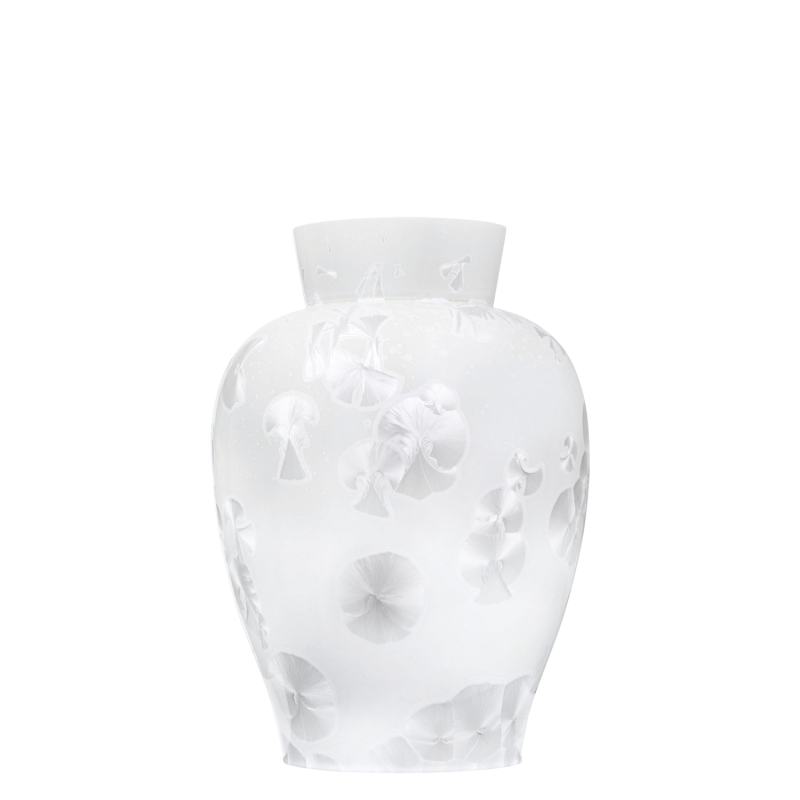 img1_va100355k100002_vase