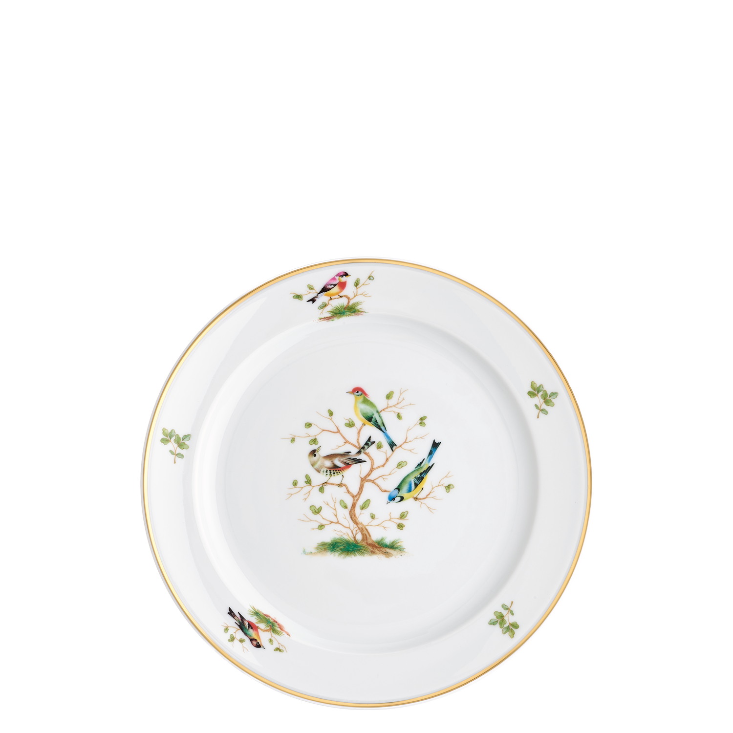 Dinner plate 