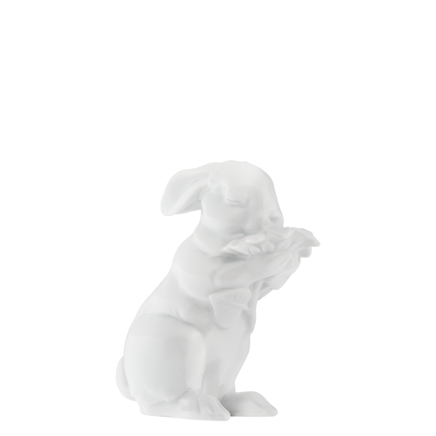 HASE 2025 AMELIE