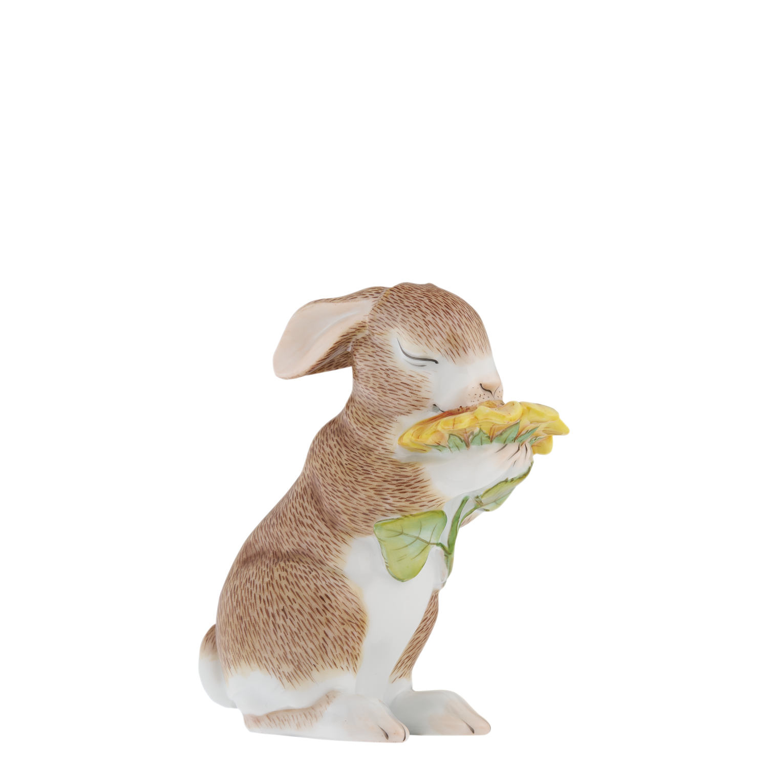 HASE 2025 AMELIE