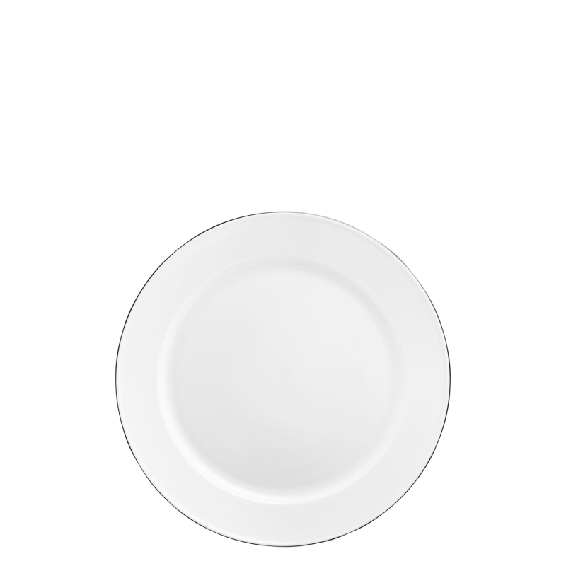 Dinner plate 