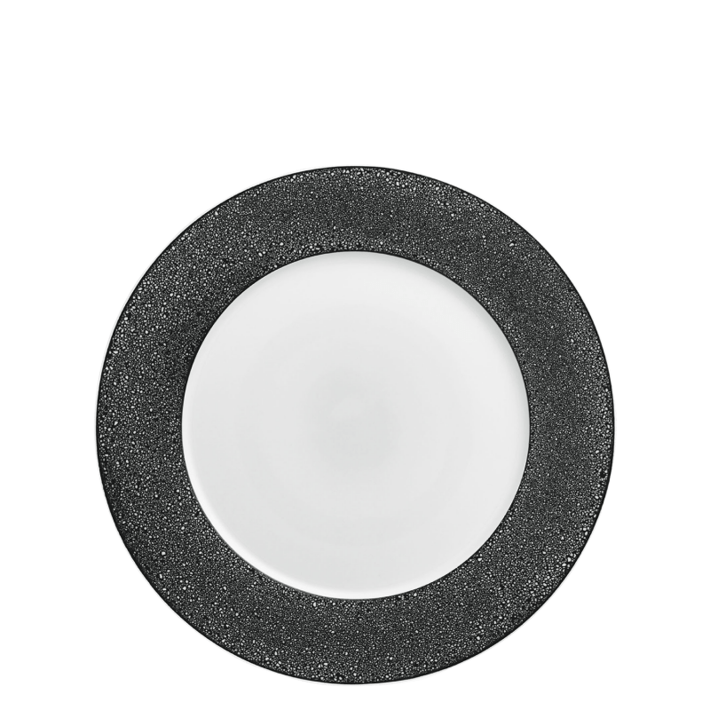 Dinner plate 