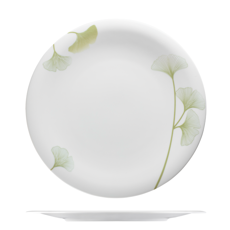 Dinner plate  