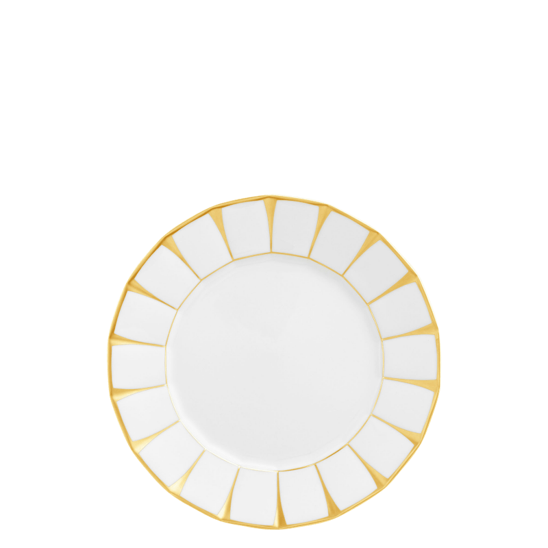 Dinner plate 