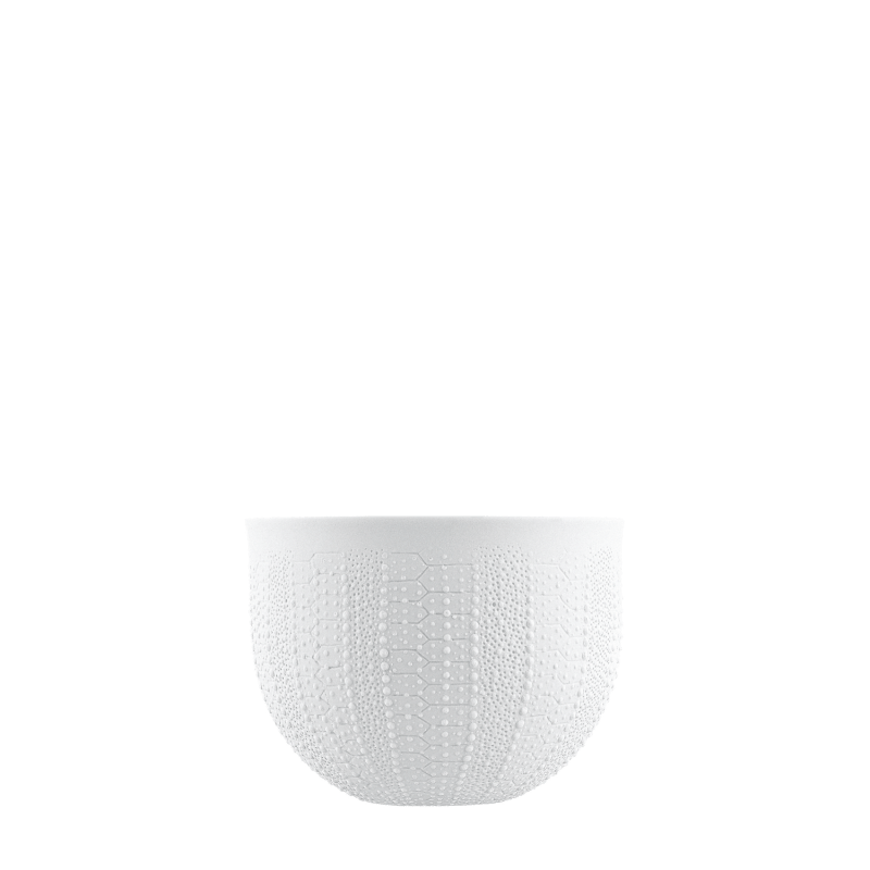 Bowl (relief sea urchin), double-walled 