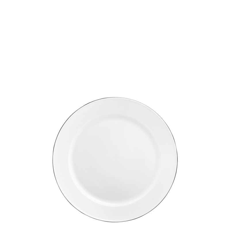 Dinner plate