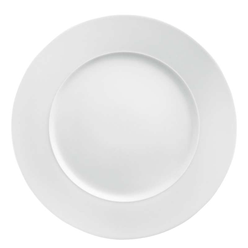 Dinner plate 