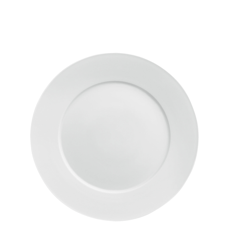 Dinner plate 