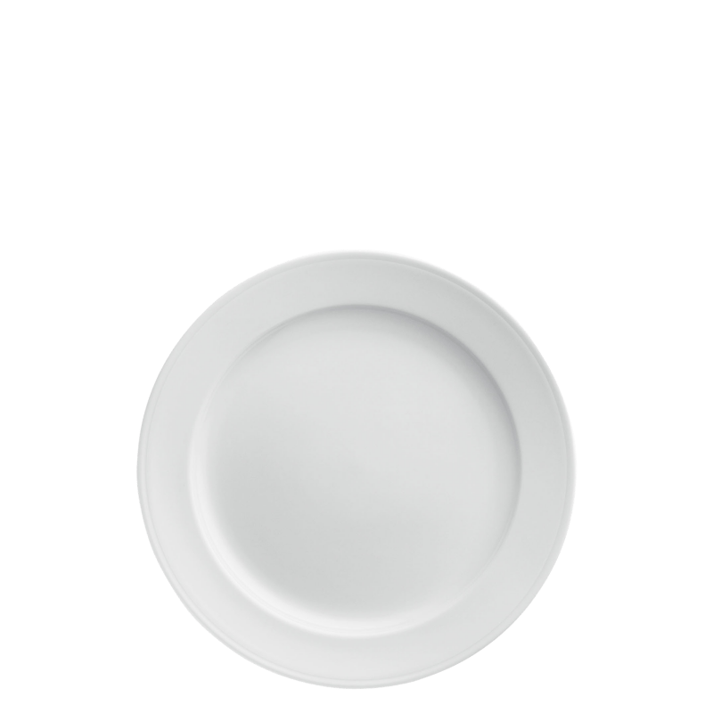 Dinner plate 