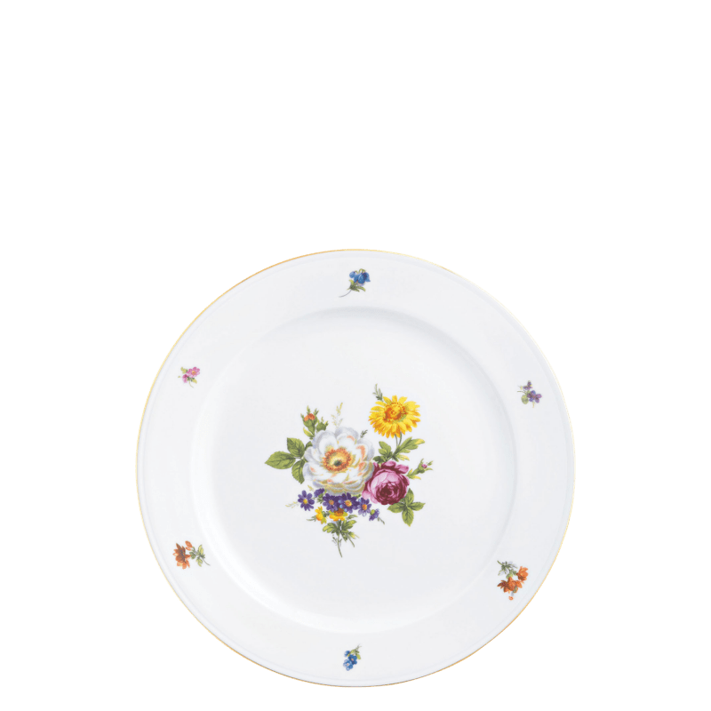 Dinner plate 