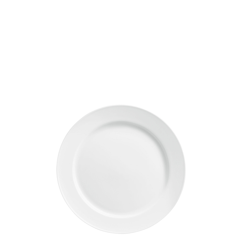 Dinner plate 