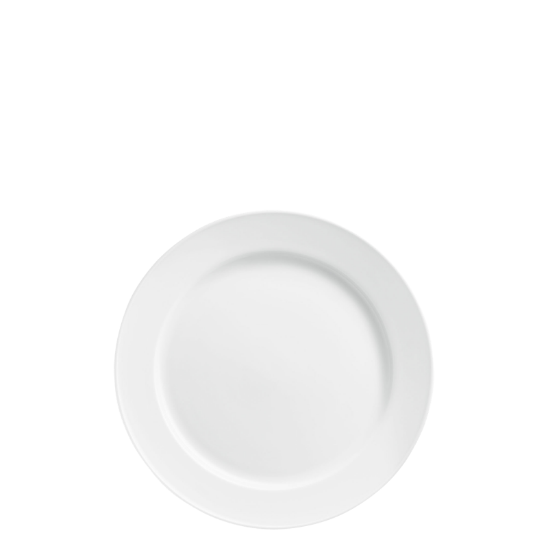 Dinner plate 