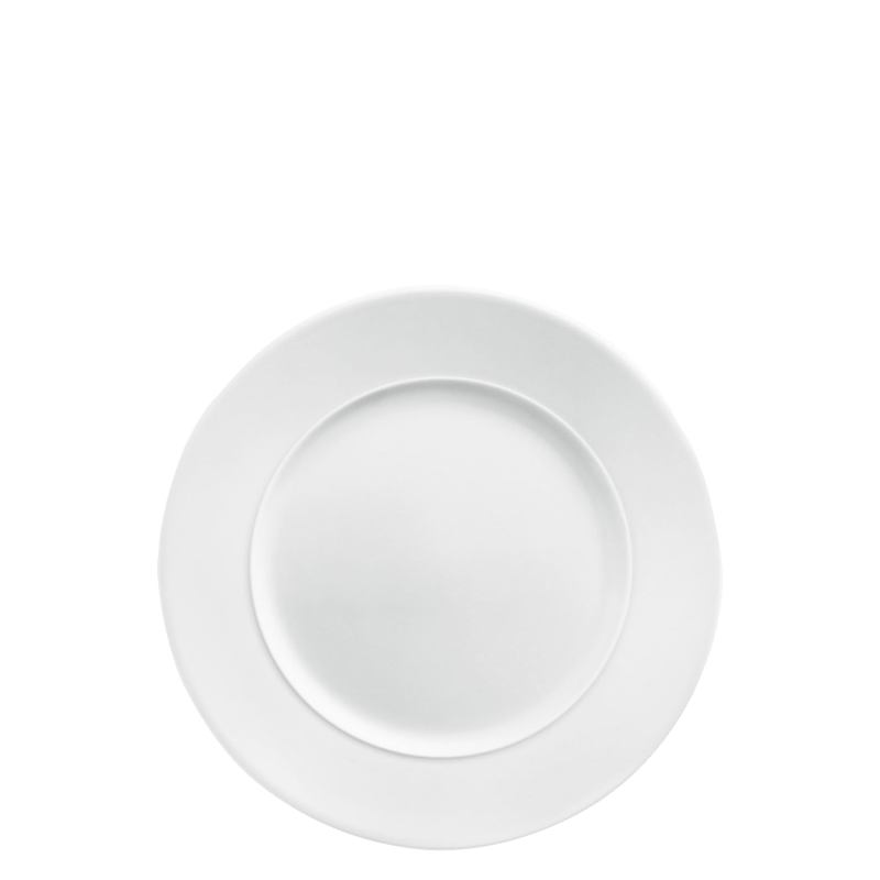 Dinner plate 