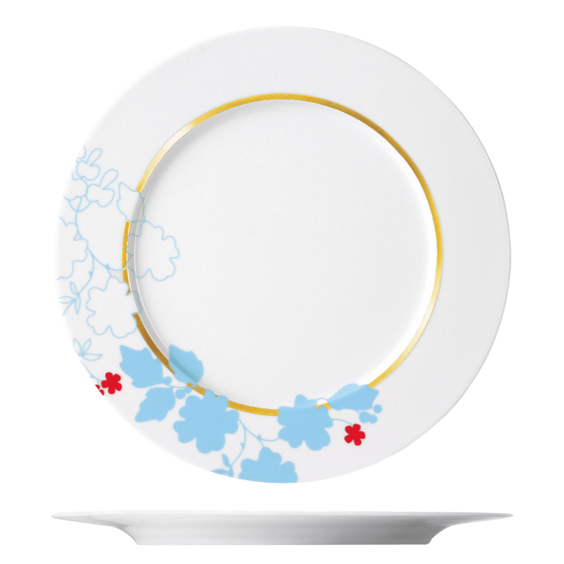 Dinner plate 