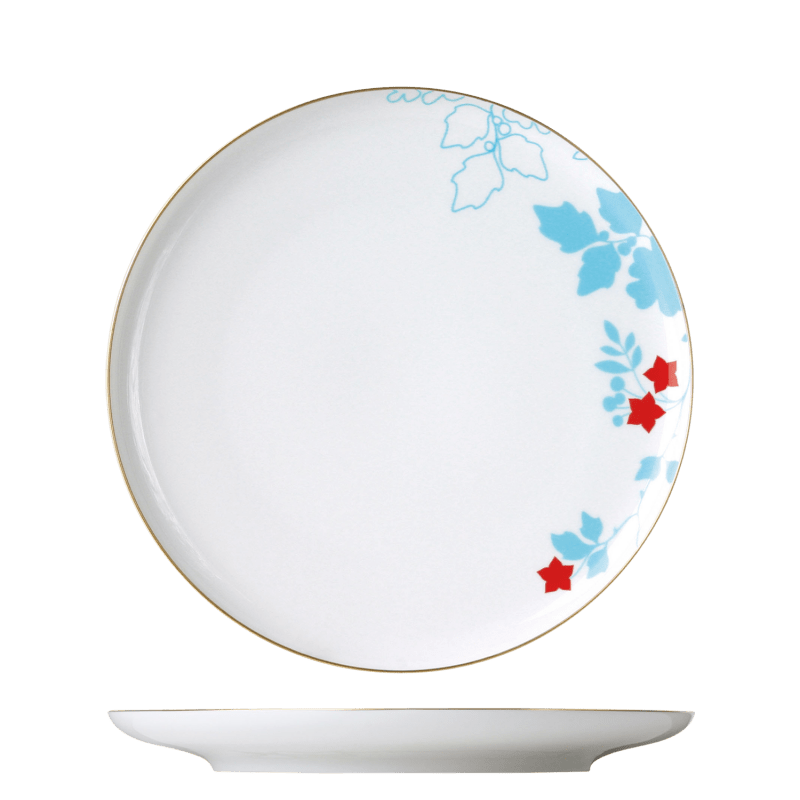 Dinner plate 