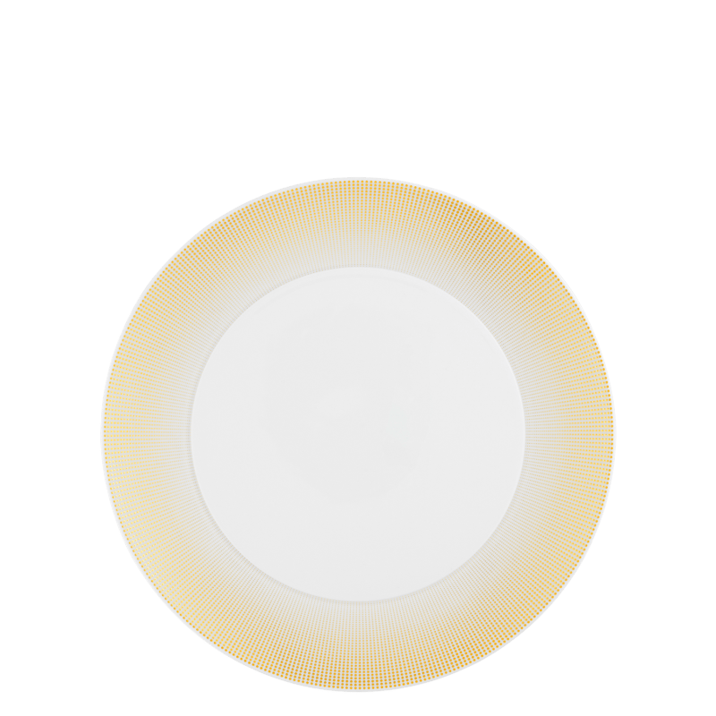 Dinner plate 