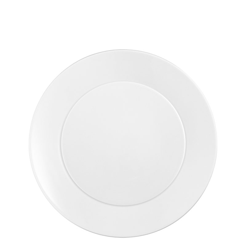 Dinner plate 