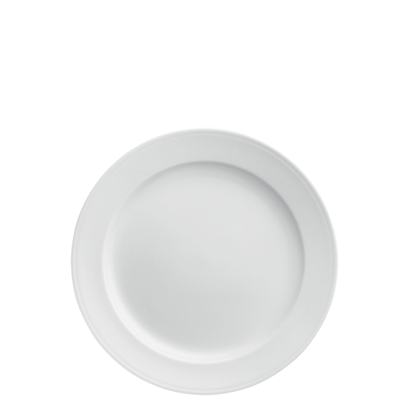 Dinner plate 