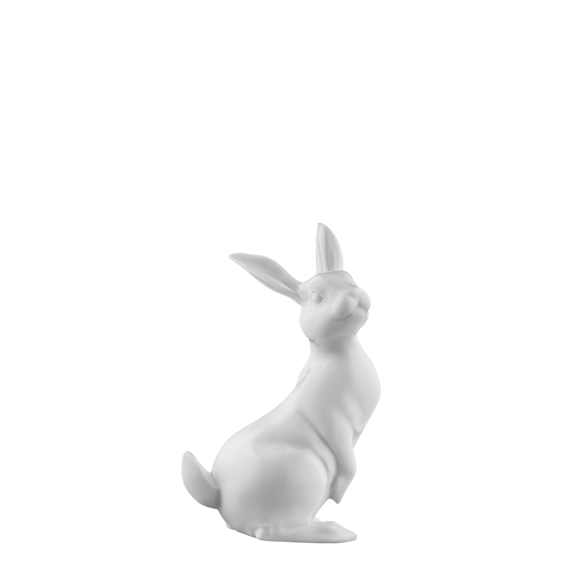 HASE 2019 FIDELIO 